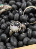 White Buffalo Rings
